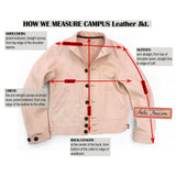 Campus Jacket - Stallion