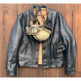 Campus Jacket - Stallion