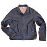 Campus Jacket - Stallion